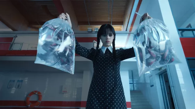 Wednesday (season 1)