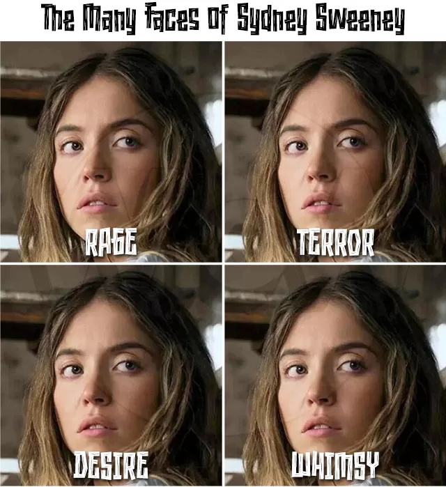 Sydney Sweeney meme 'The Many Faces of Sydney Sweeney' The Housemaid movie 2025: same facial expression labeled Rage, Terror, Desire, Whimsy poking fun at acting skills – anti-woke film breakdown, content warnings, and worth watching rating on WorthItOrWoke.com